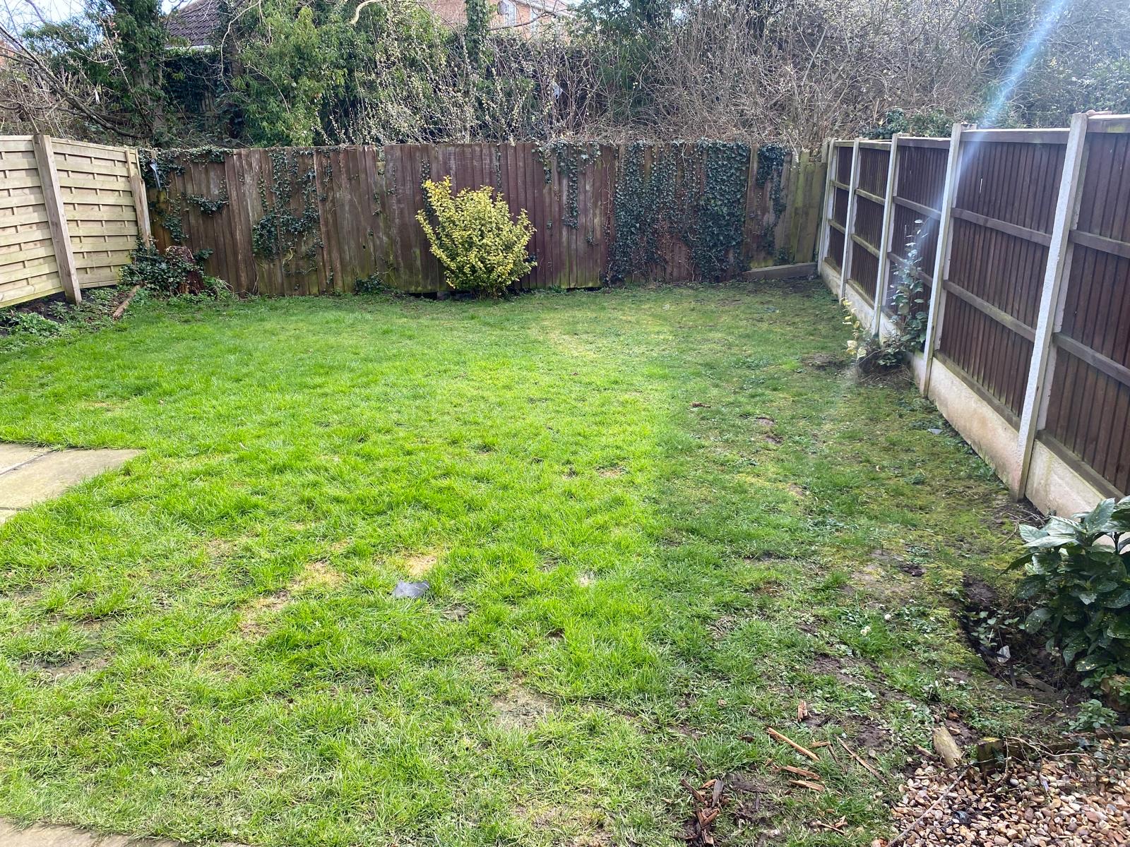 Tired old garden before transformation